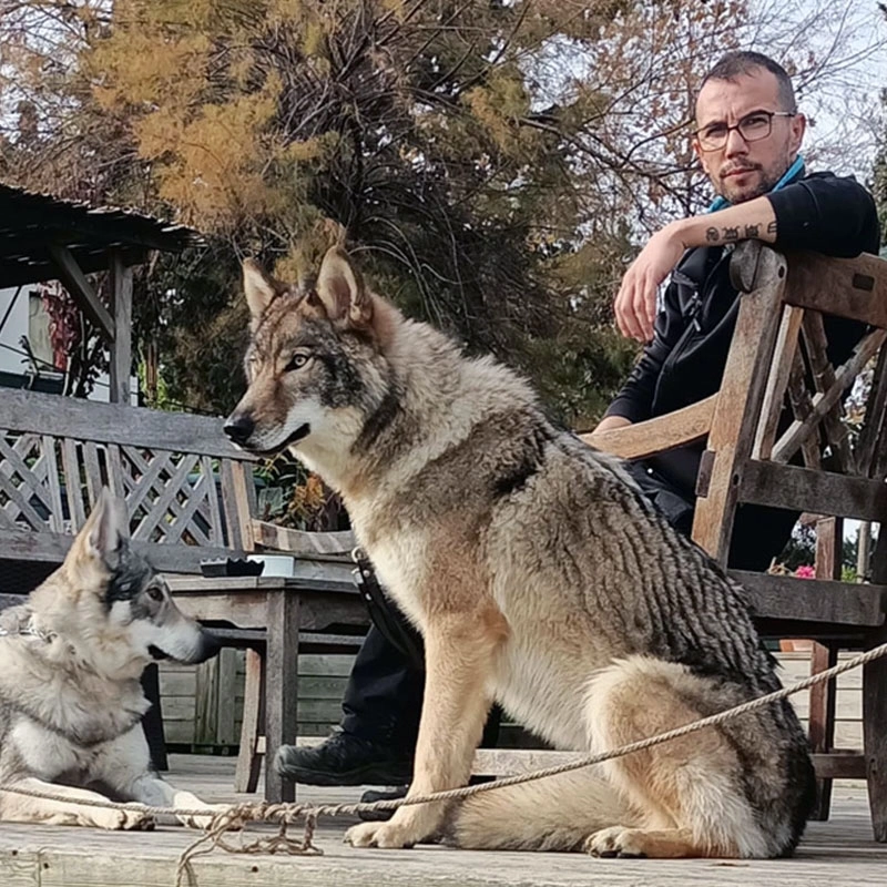 Temel İtaat Eğitimi