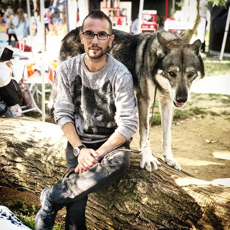 İleri itaat eğitimi - Tasmasız yürüyüş