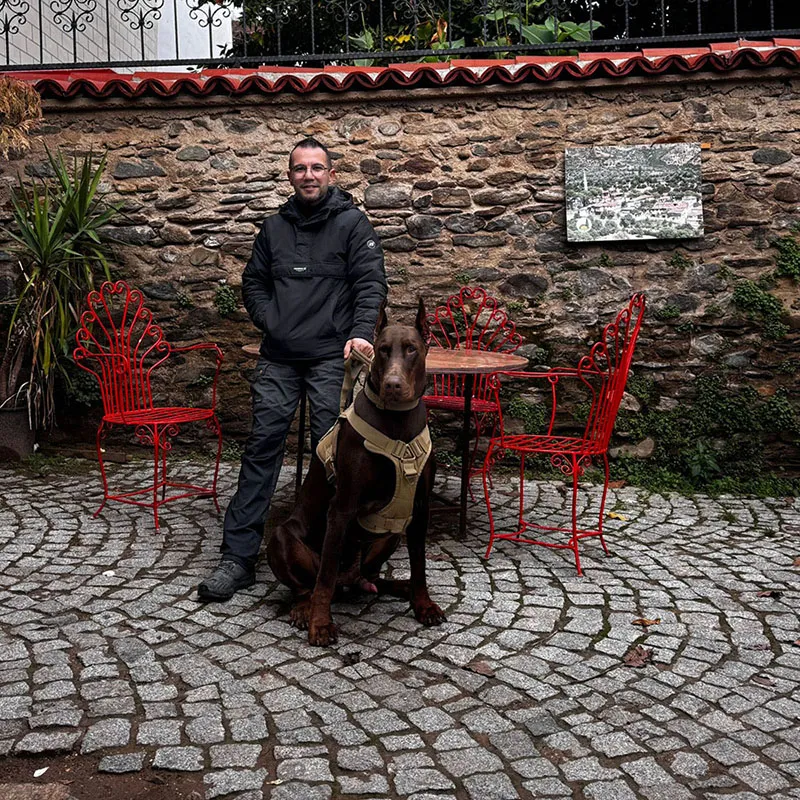 Köpek eğitim merkezi tesisleri İstanbul