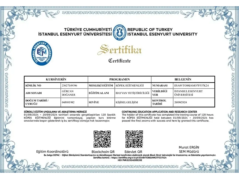 İstanbul Esenyurt Üniversitesi Köpek Eğitmenliği Sertifikası 2024