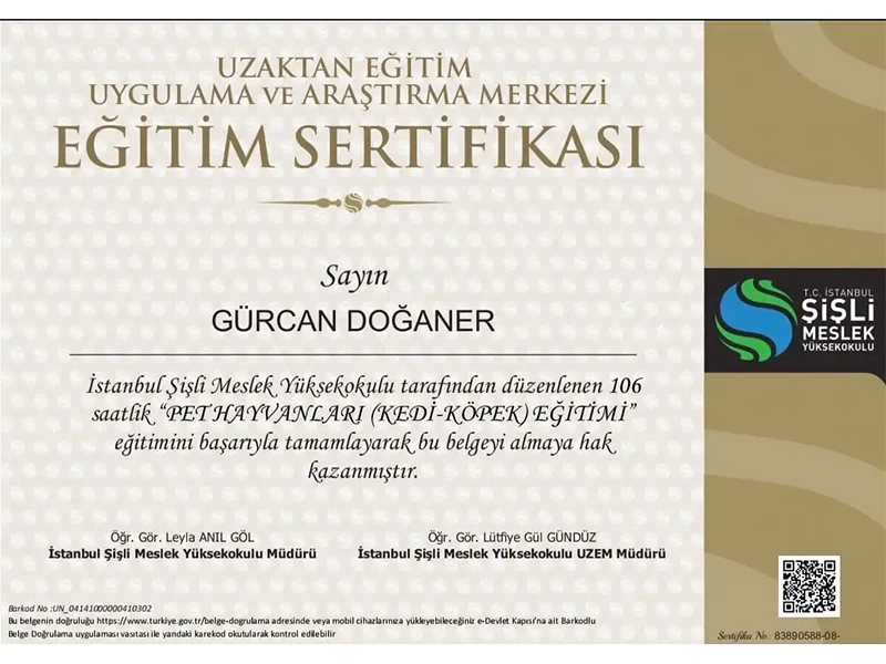İstanbul Şişli Meslek Yüksekokulu Pet Hayvanları Eğitimi Sertifikası