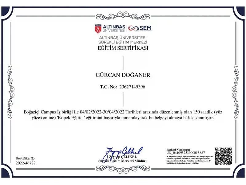 Altınbaş Üniversitesi Köpek Eğitici Sertifikası 2022