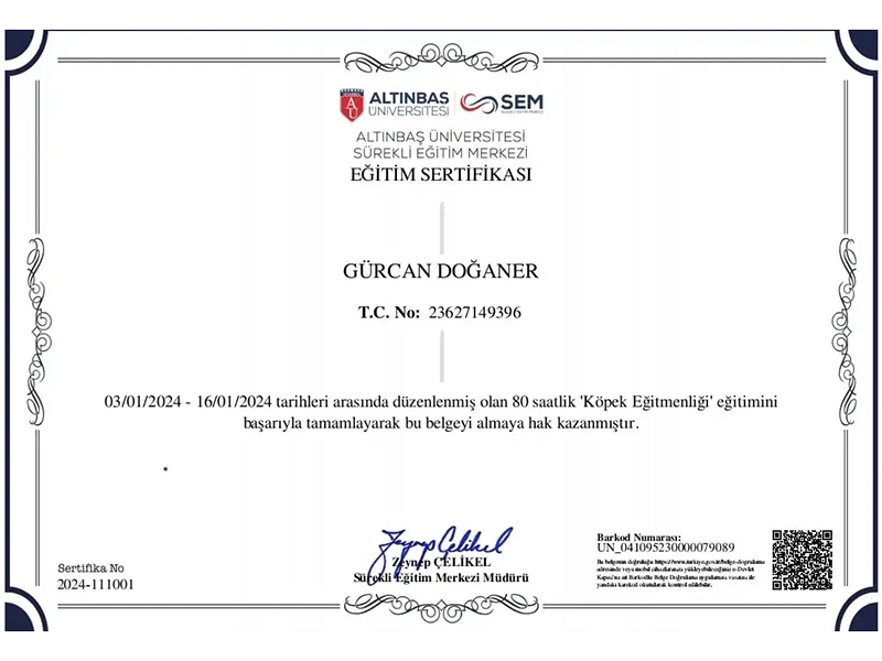 Altınbaş Üniversitesi Köpek Eğitmenliği Sertifikası 2024